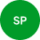 SEO Professional